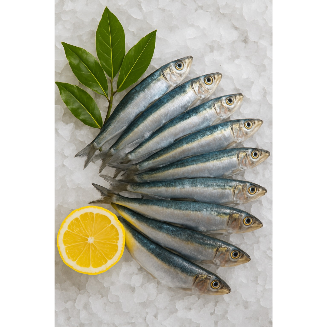 Argentinian Anchovy Fillets (Anchoita) – Salted and Marinated – 200g Jar