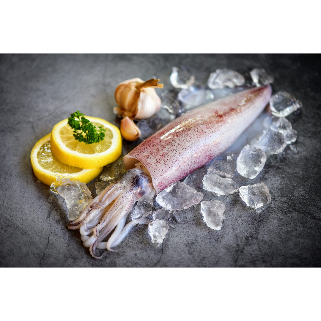 Patagonian Squid Tubes and Tentacles (Illex Argentinus) – Wild-Caught – 2 lb Bag