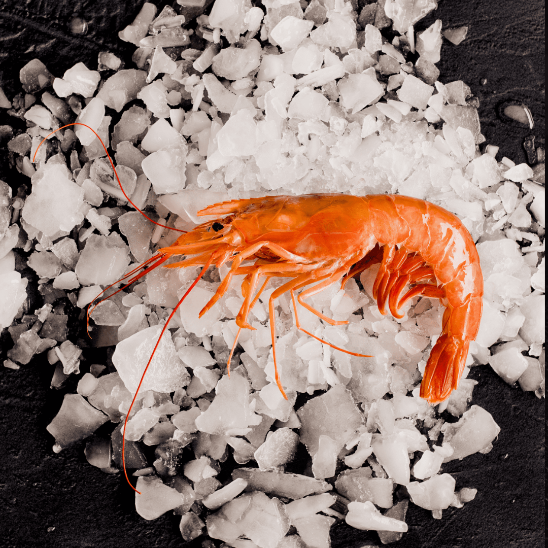 Wild-Caught Red Shrimp – Pleoticus Muelleri – 2 lb Bag